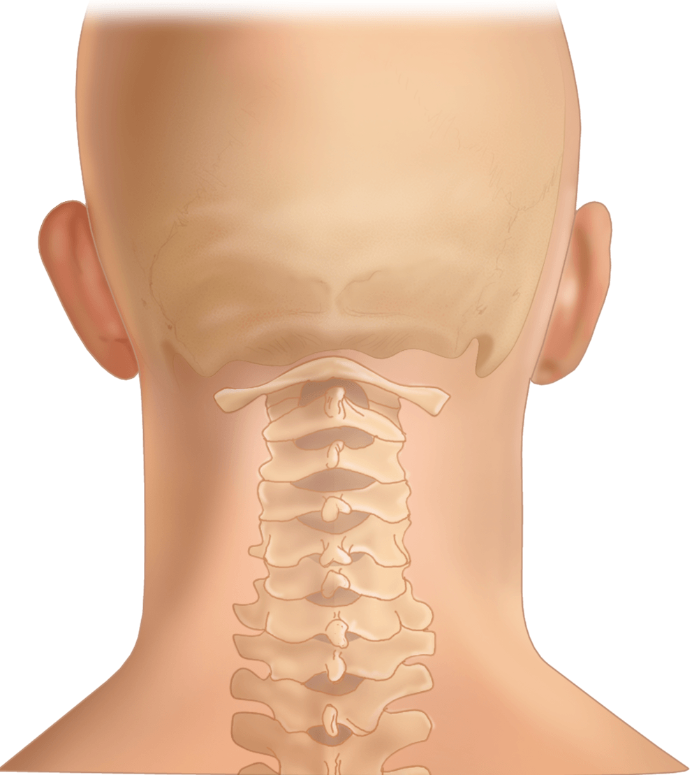 Posterior Cervical Fusion Procedure | Globus Medical