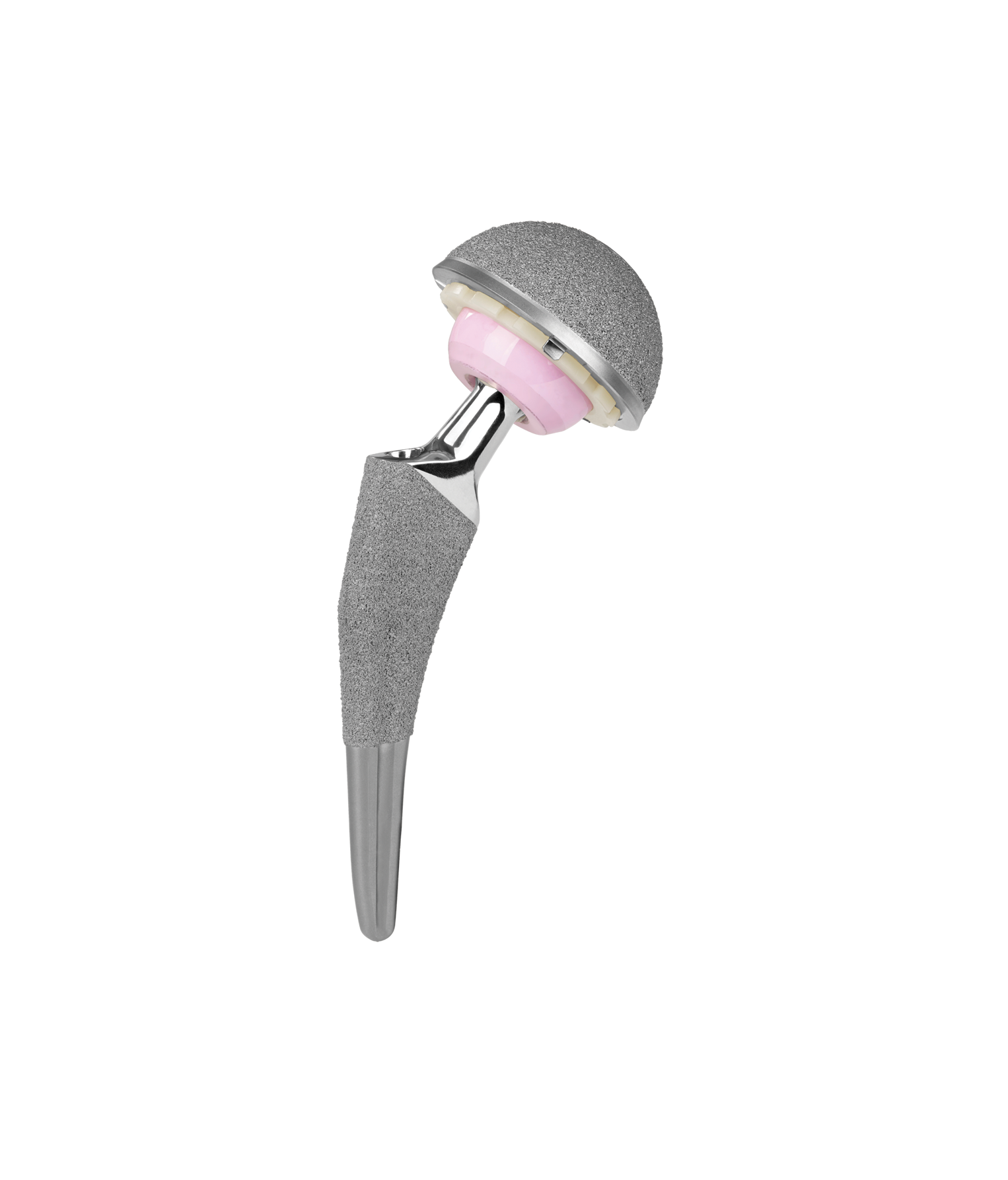 Provident® II Femoral Hip Stem | Globus Medical